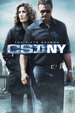 CSI: NY stagione 5