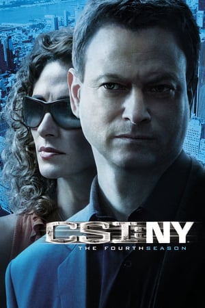 CSI: NY stagione 4