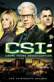 CSI – Scena del crimine stagione 13