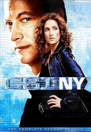 CSI: NY stagione 2