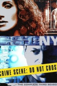 CSI: NY stagione 3