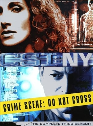 CSI: NY stagione 3