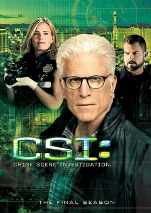 CSI – Scena del crimine stagione 15
