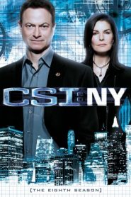 CSI: NY stagione 8