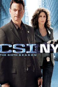 CSI: NY stagione 6