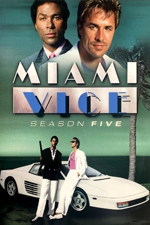 Miami Vice stagione 5