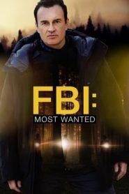 FBI: Most Wanted stagione 3