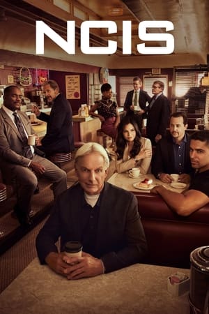 NCIS – Unità anticrimine stagione 19