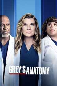 Grey’s Anatomy stagione 18