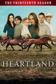 Heartland stagione 13