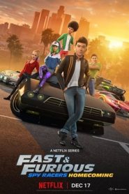 Fast & Furious: Piloti sotto copertura stagione 6
