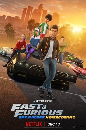 Fast & Furious: Piloti sotto copertura stagione 6