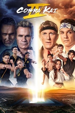 Cobra Kai stagione 4