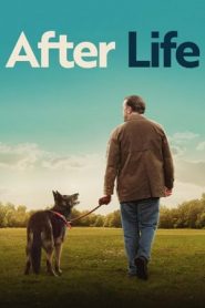 After Life stagione 3