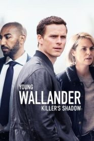 Il giovane Wallander stagione 2