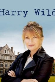 Harry Wild stagione 1