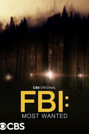 FBI: Most Wanted stagione 4