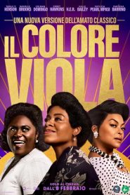 Il colore viola