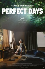 PERFECT DAYS