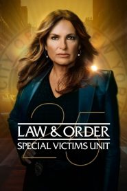 Law & Order – Unità vittime speciali stagione 25