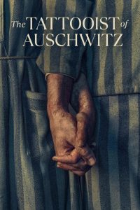 Il tatuatore di Auschwitz stagione 1