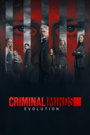 Criminal Minds stagione 17