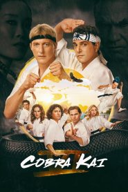 Cobra Kai stagione 6