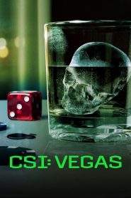 CSI: Vegas stagione 3