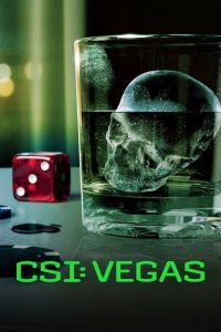 CSI: Vegas stagione 3