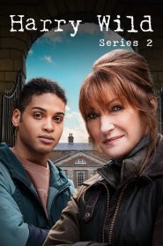 Harry Wild – La signora del delitto stagione 2