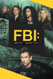 FBI: Most Wanted stagione 5