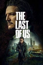 The Last of Us stagione 2