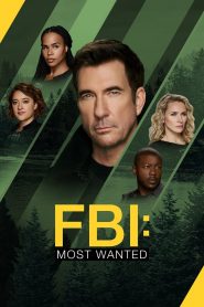FBI: Most Wanted stagione 6