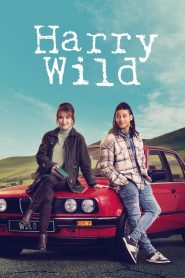 Harry Wild – La signora del delitto stagione 3