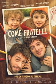 Come fratelli
