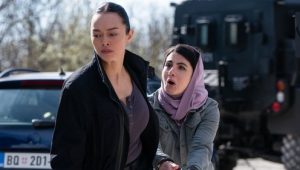 FBI: International 4×20