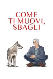 Come ti muovi, sbagli