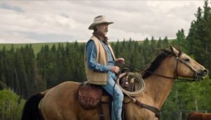 Heartland 15×1