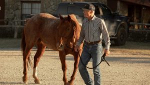 Dutton Ranch 1×5